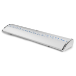 Roll Up Exclusive 200x200 - Image 7